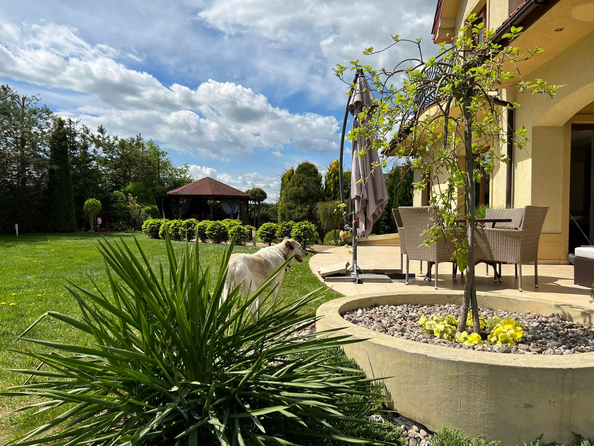 Gwiazda disco polo pochwaliła się wielkim, rajskim ogrodem! Wiemy kto go zaprojektował! Jest wyjątkowy! [ZDJĘCIA]